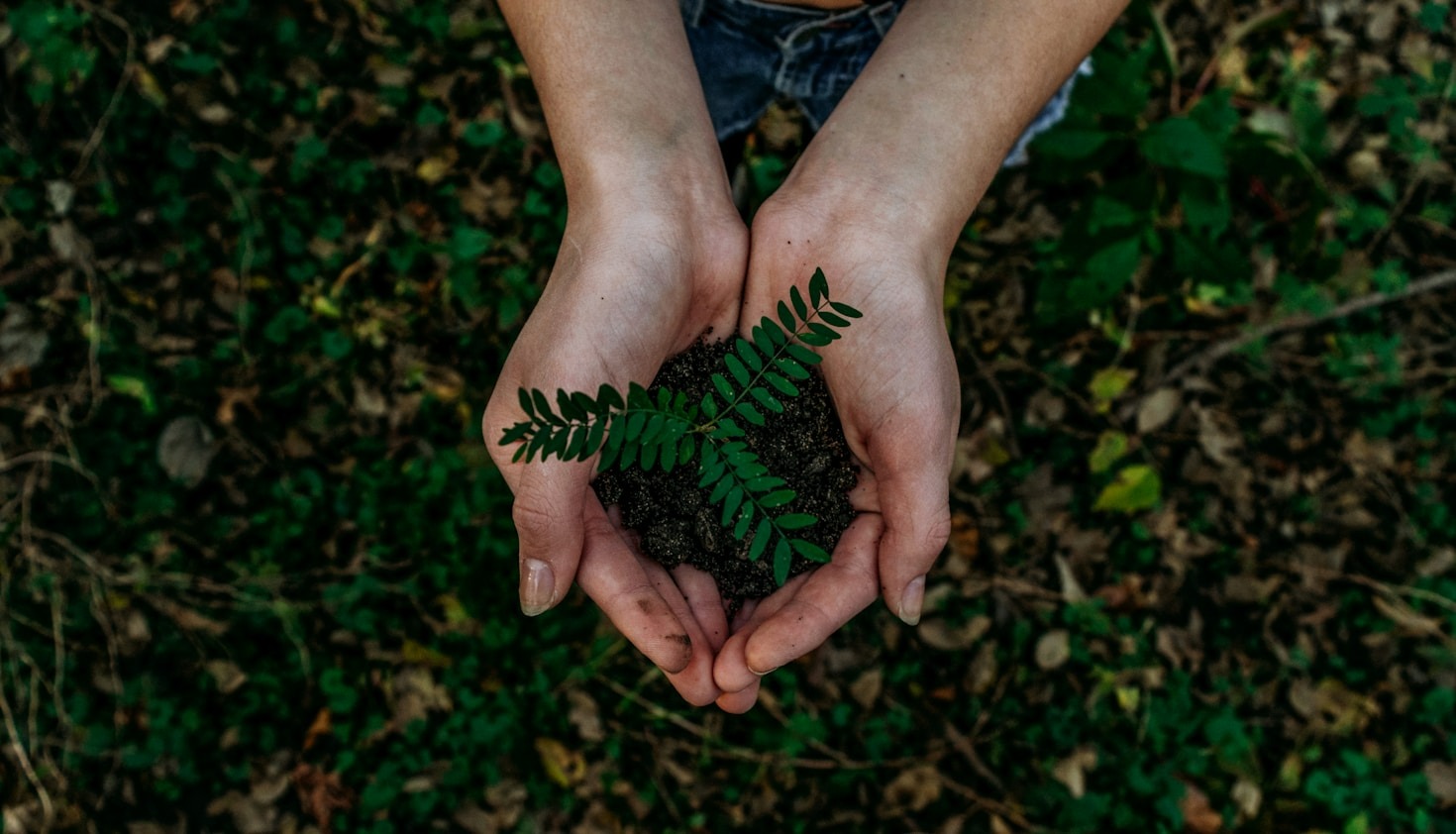 The Best Eco-Friendly Products of 2023