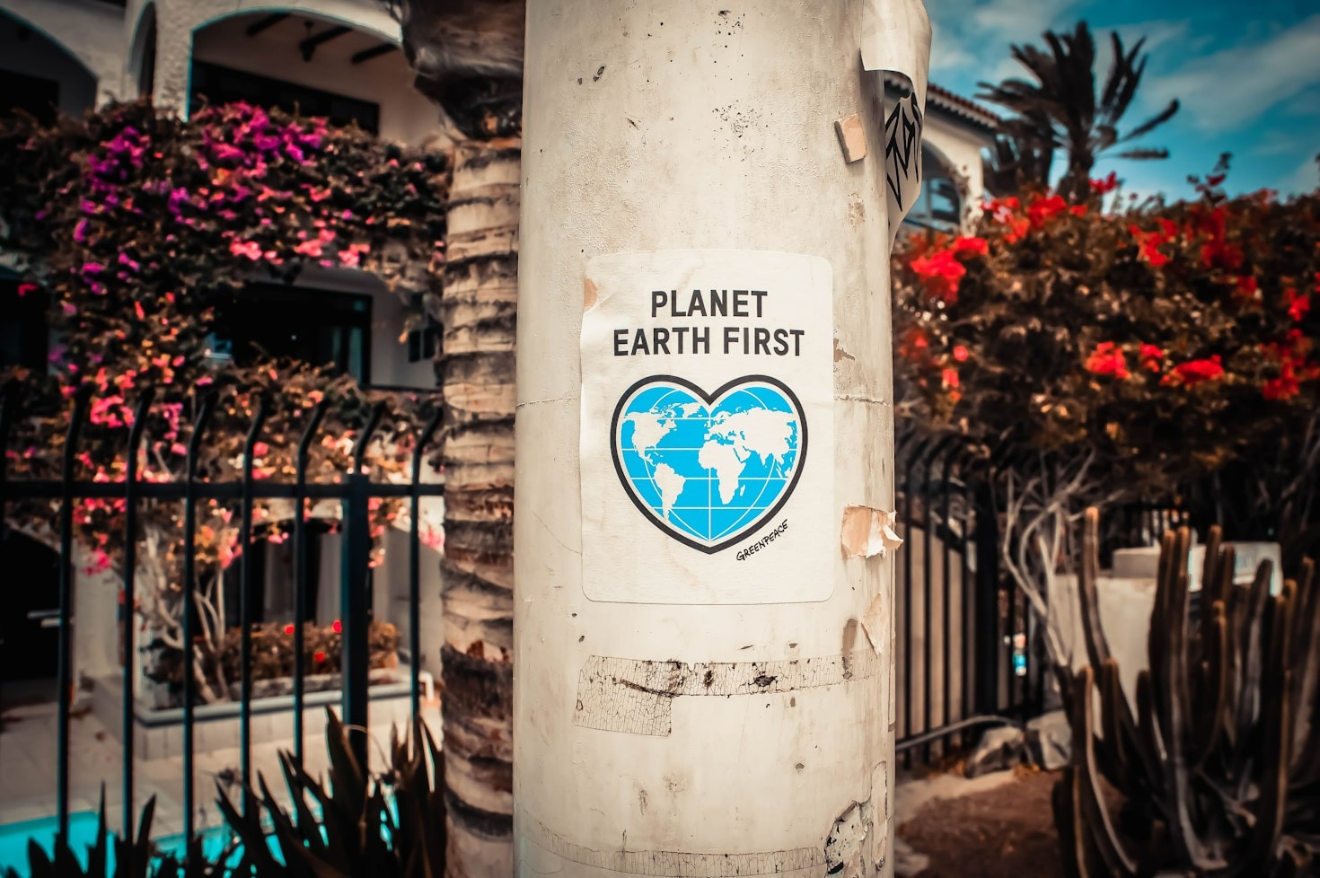 How to Transition to a Greener Lifestyle