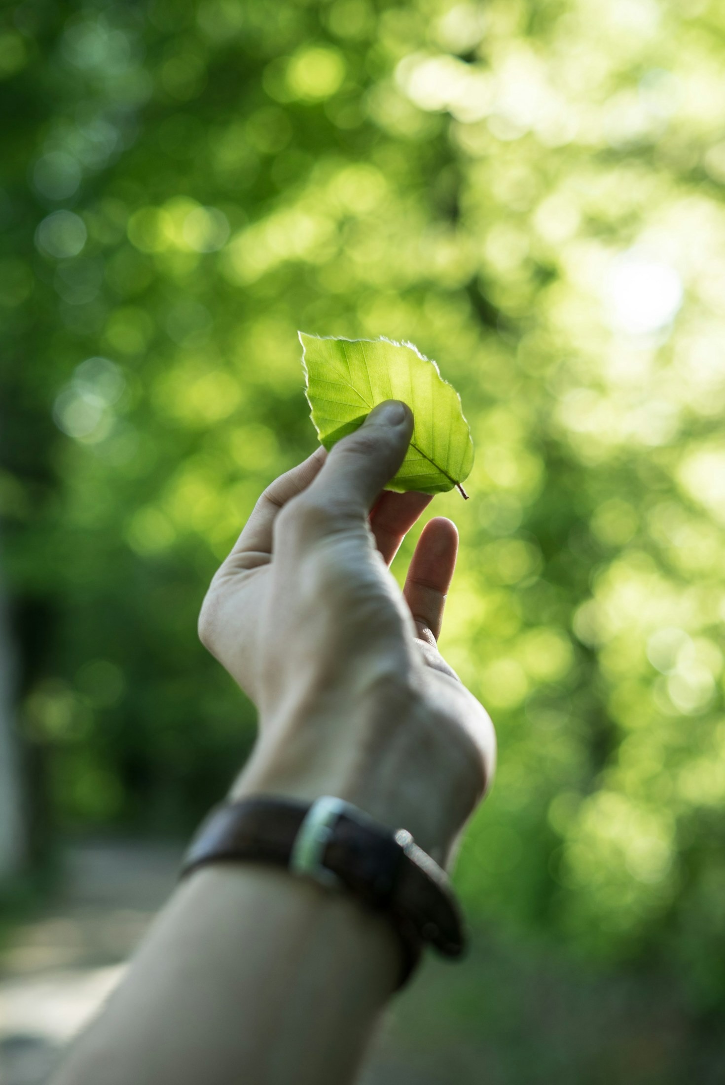Inspiring Sustainable Living Stories to Motivate You