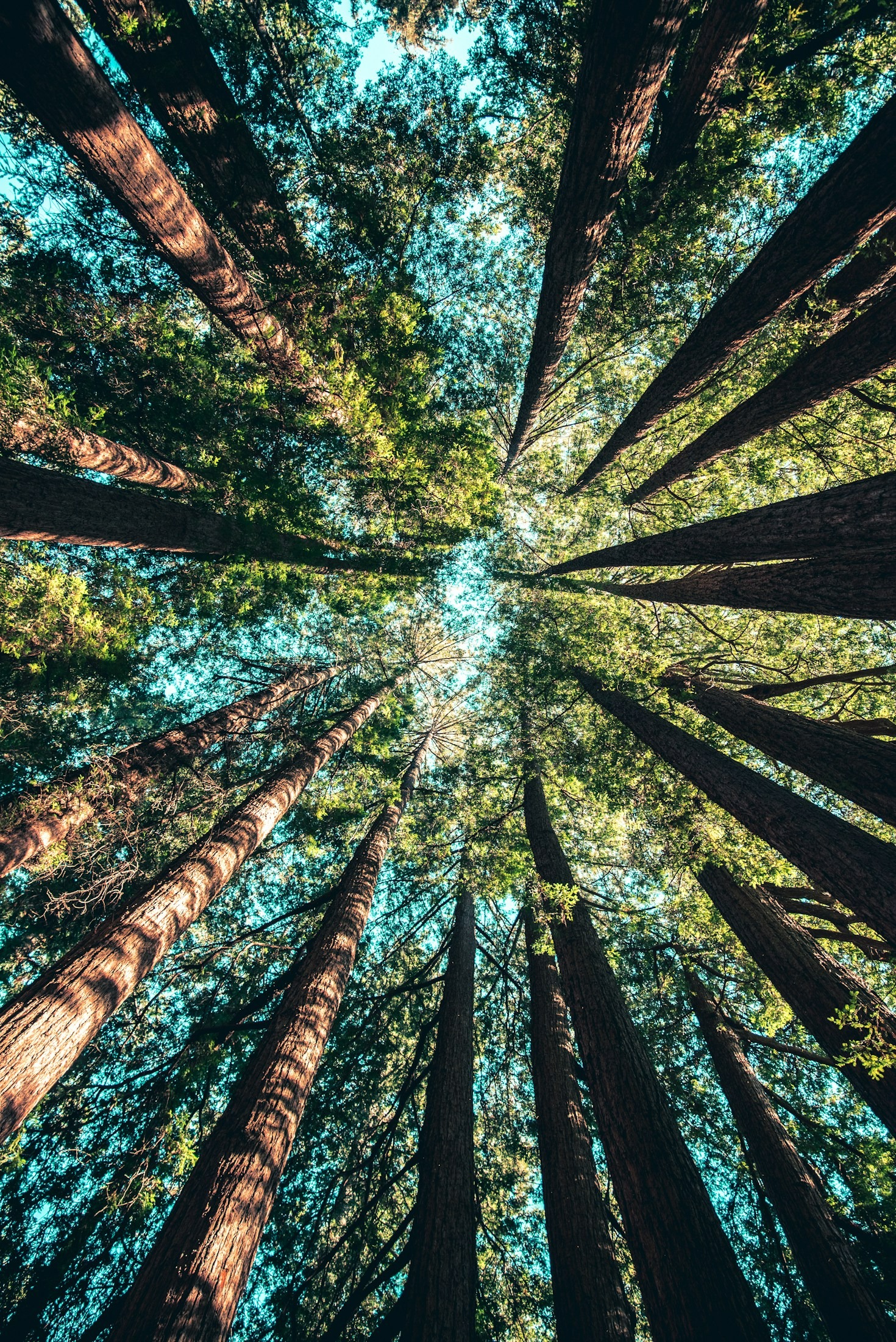 The Green Choice Guide to Plastic-Free Living